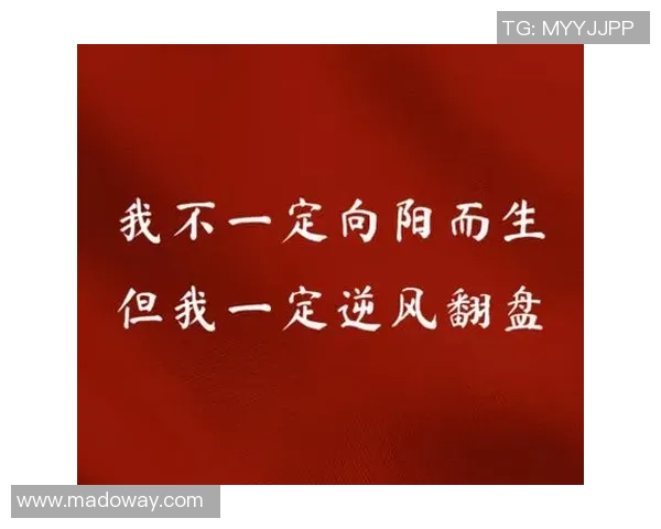 付豪：从默默无闻到耀眼星辰的奋斗之路与人生启示