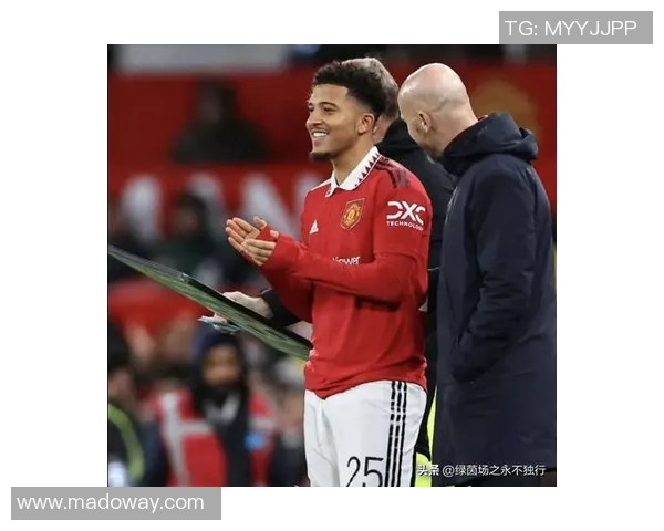 桑乔在绿茵场上的崛起与挑战：从天才少年到足球巨星的奋斗历程