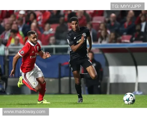 本菲卡与流浪者精彩对决集锦回顾赛场瞬间尽在掌握 本菲卡与流浪者精彩对决集锦回顾赛场瞬间尽在掌握