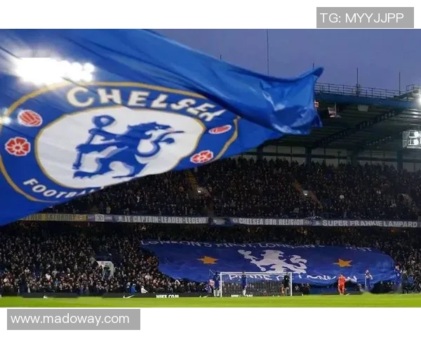 篮球明星切尔西的传奇之路与辉煌成就揭秘