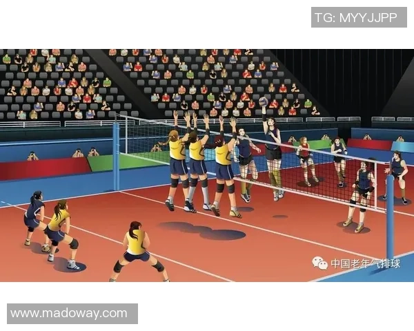 成都排球队防反战术解析与实战应用探讨